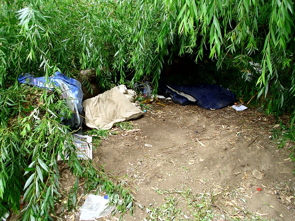 A homeless person's shelter under a fallen Willow tree in New South Wales