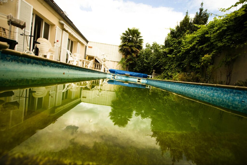 A pool with greenish water