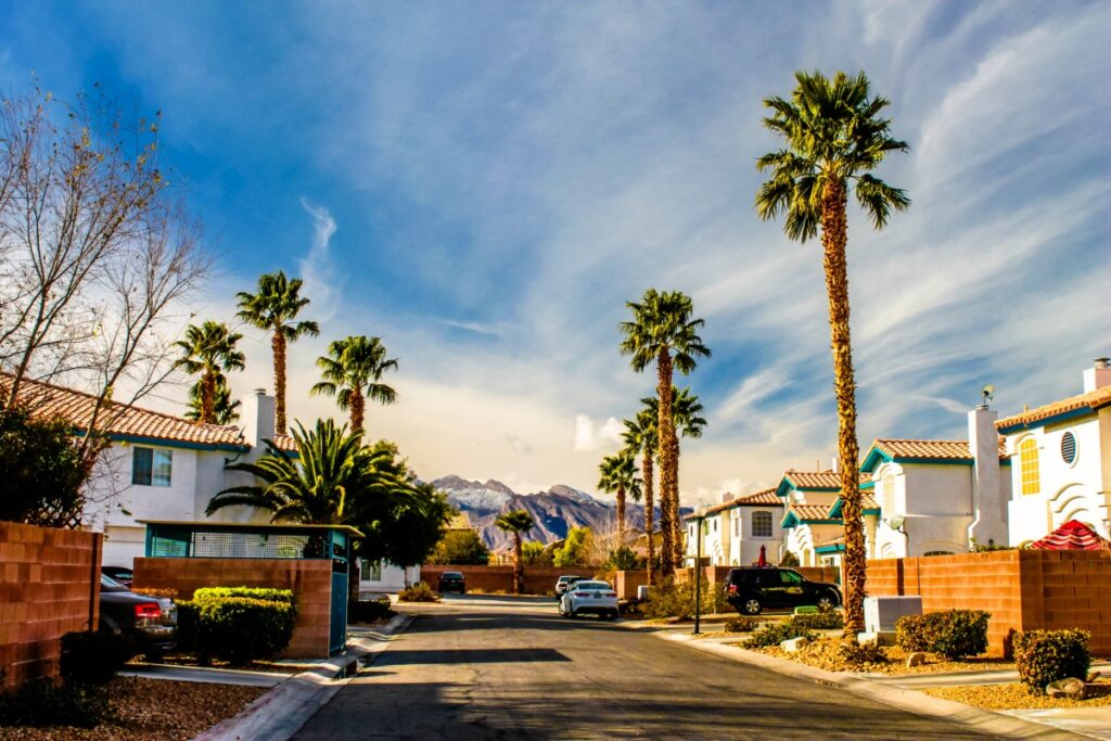 A suburban street with palm trees