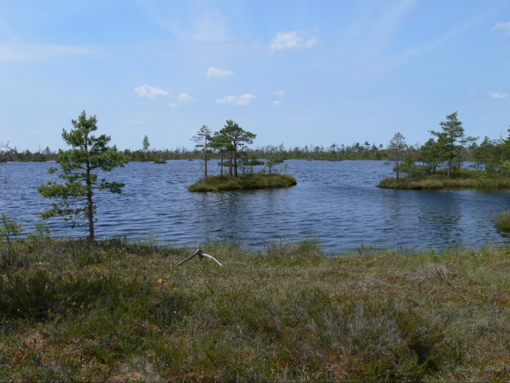 Peatlands in Belarus