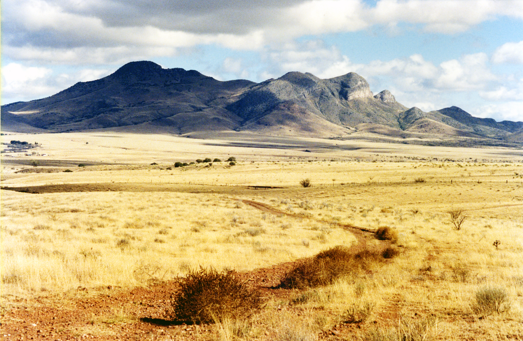 Rider on a two-wheeler crossing the Patagonian desert