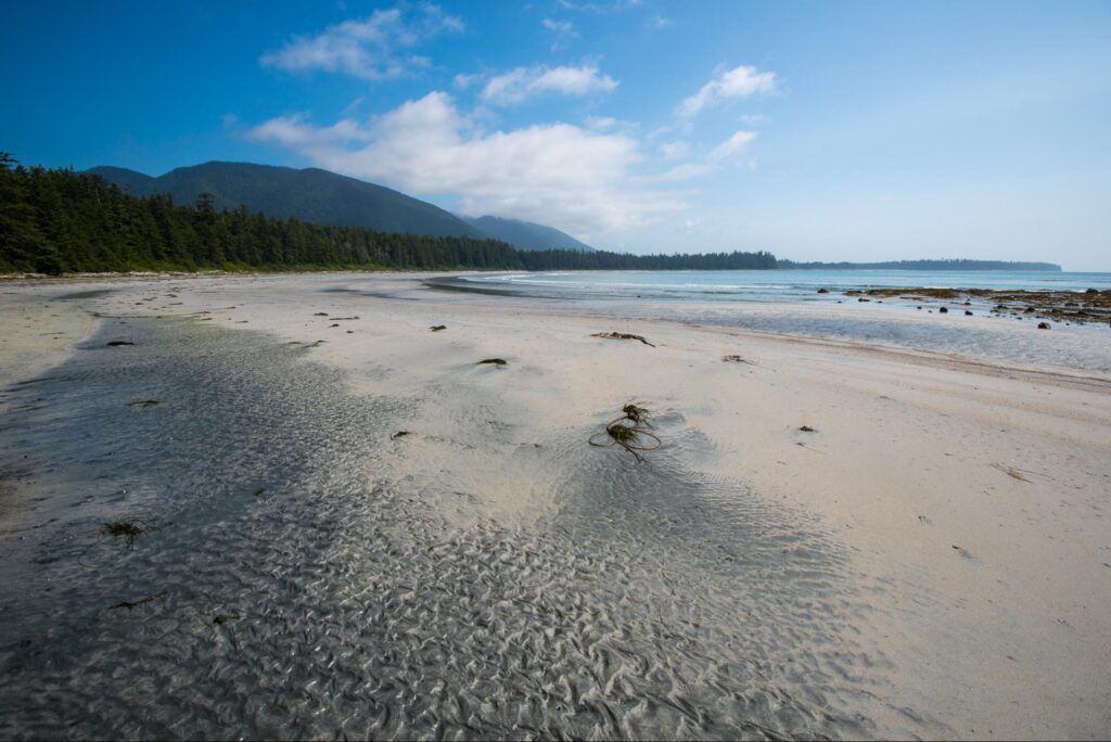 Long, sandy and beautiful beach