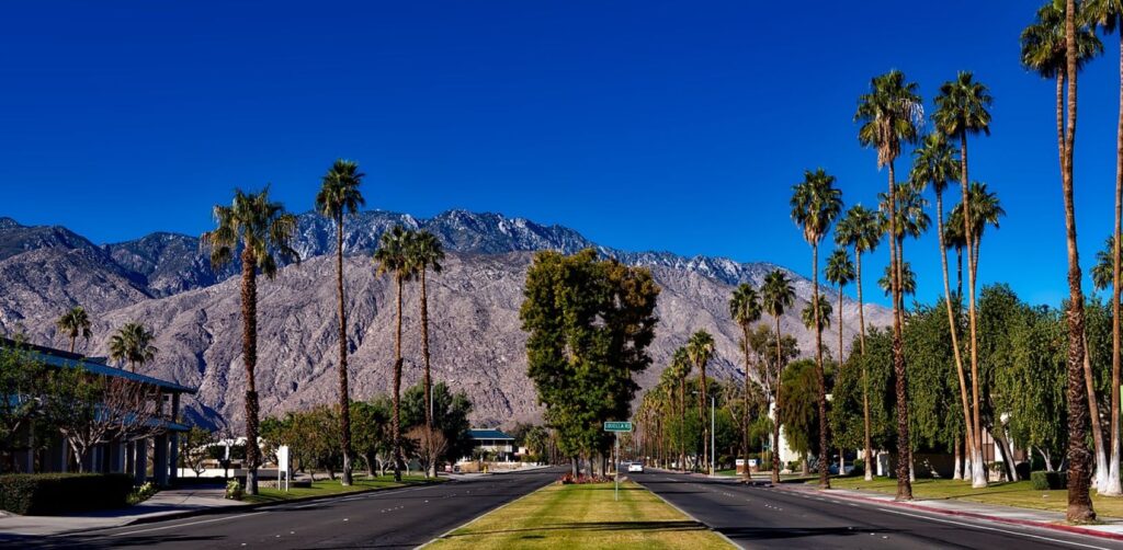 Palm trees and alluring landscape in Palm Springs