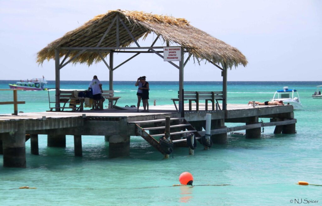 A covered pier on the beach of Tobago