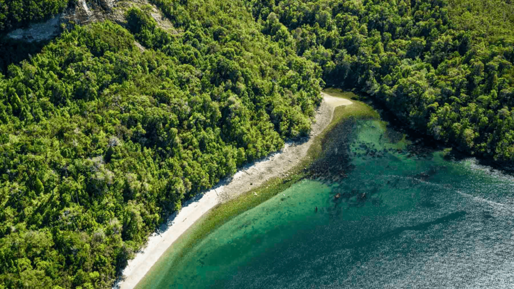 Aerial view of the bay around Patagonian island