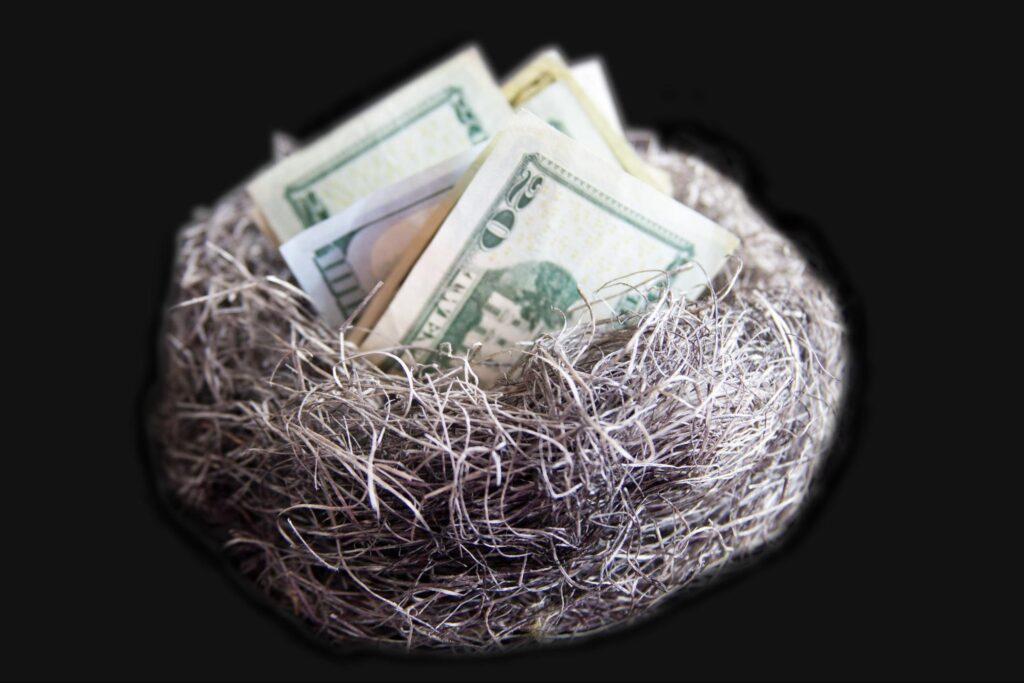 A bird nest with dollar notes