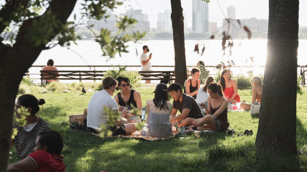 A group of people having a picnic