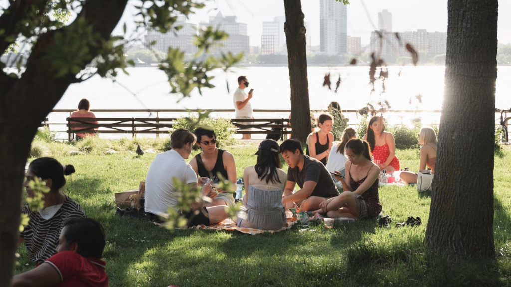 A group of people having a picnic