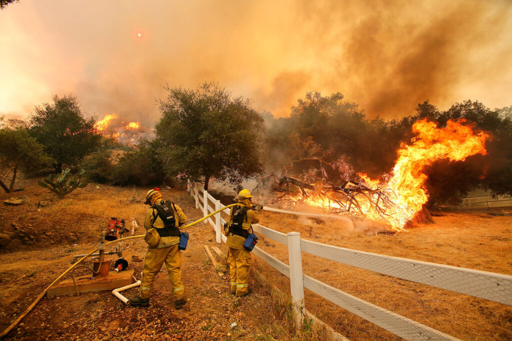 Firefighters trying to put out a raging forest fire