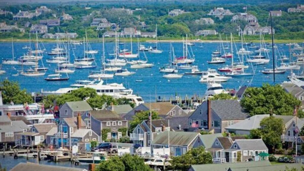 Houses by the shore