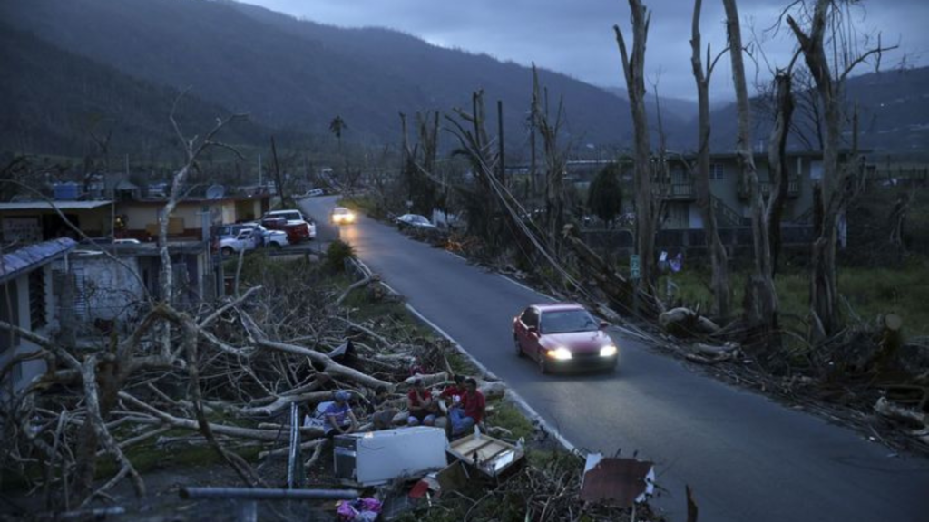 Destroyed houses and properties