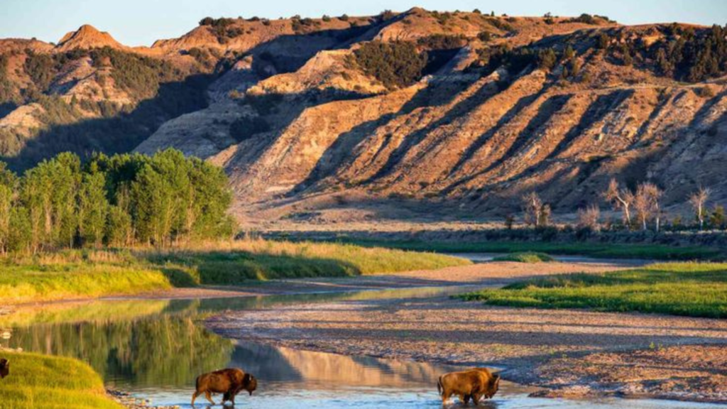 City landscape of North Dakota