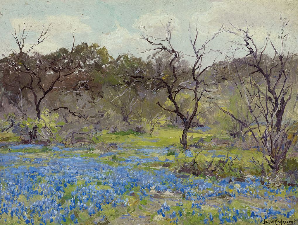 Early Spring—Bluebonnets and Mesquite