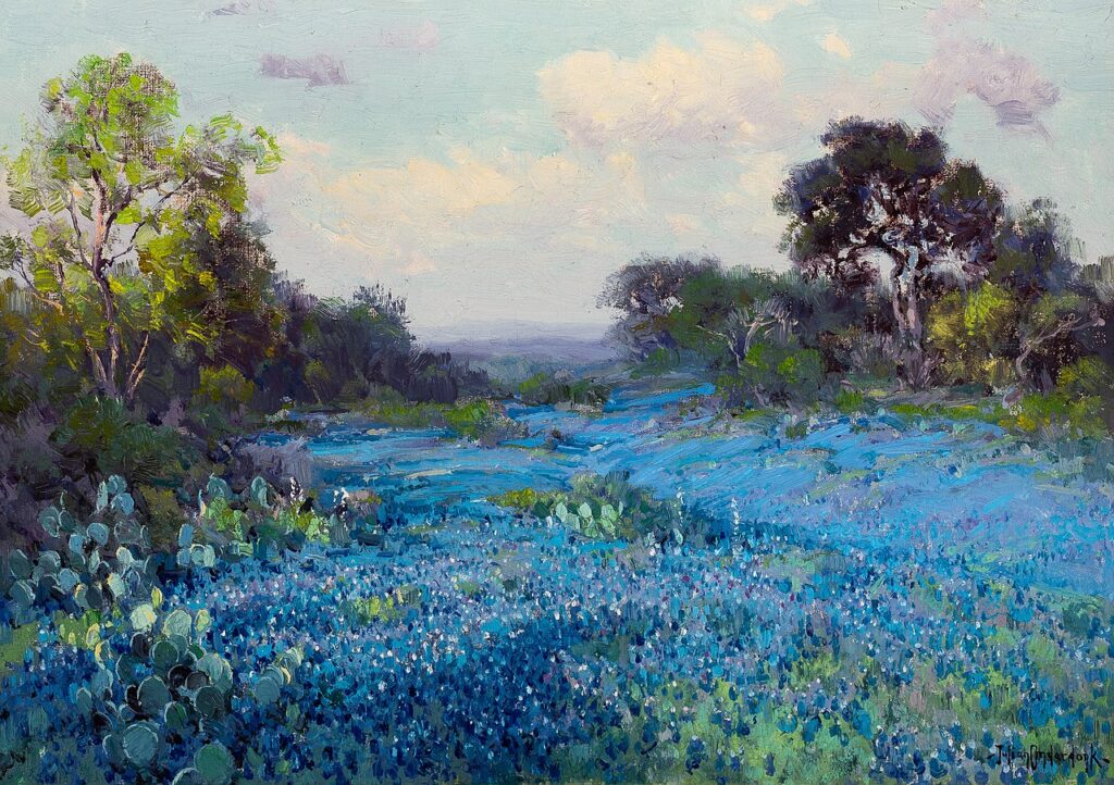 Bluebonnets at Late Afternoon