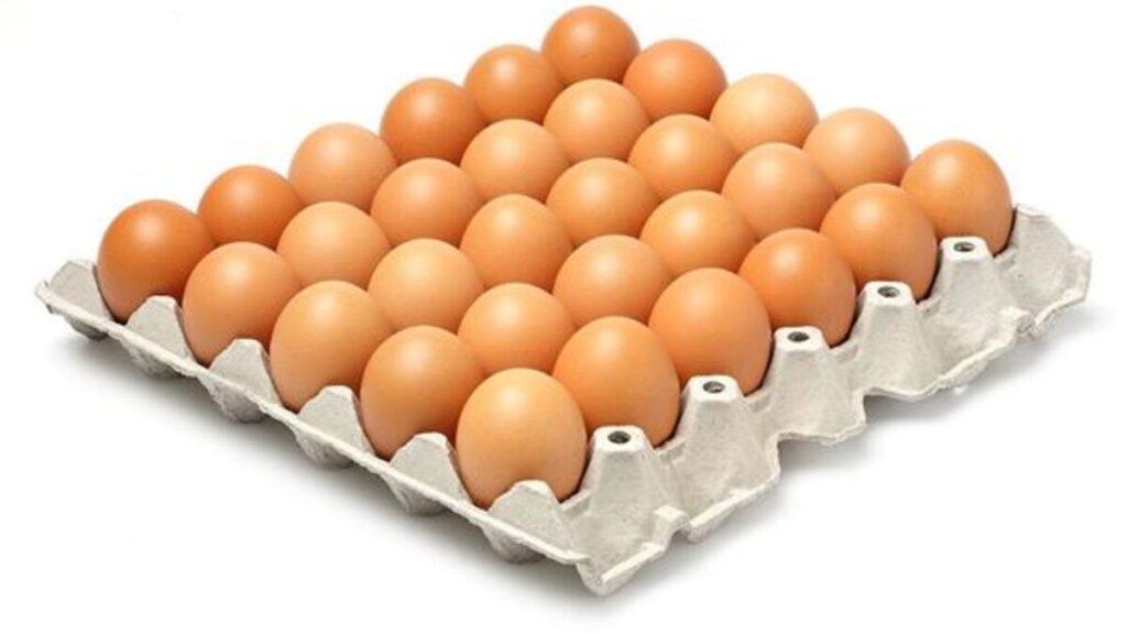 Eggs