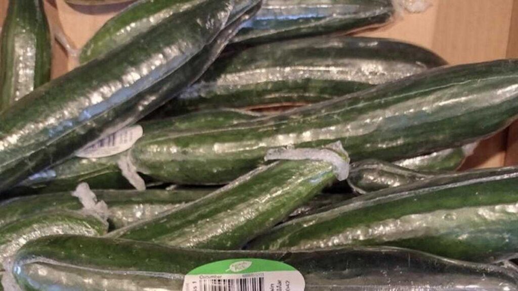 English Seedless Cucumbers