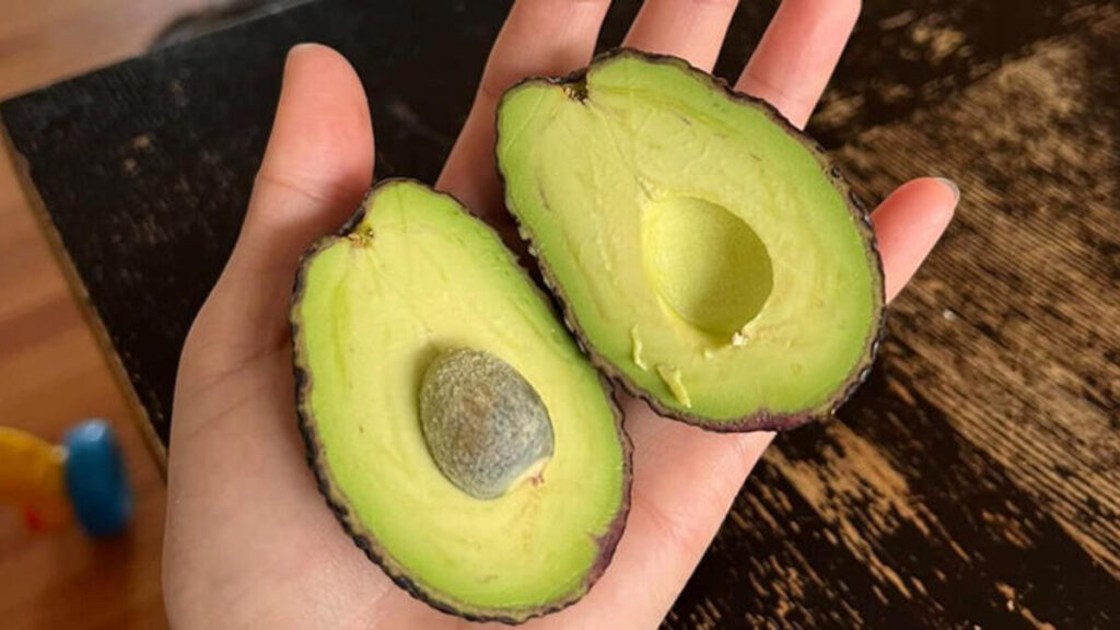 Mini Avocados