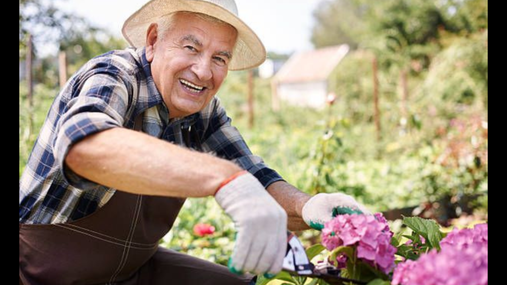 A Retiree in his part-time gardening job