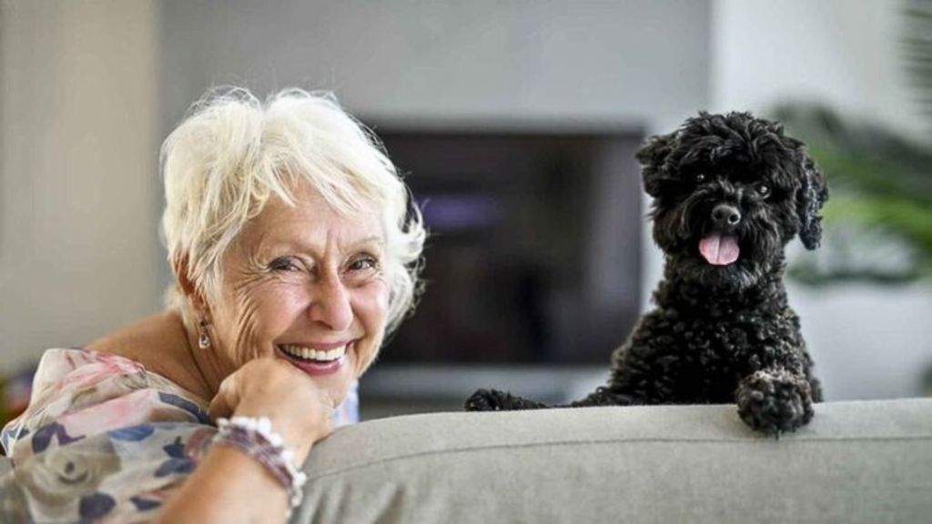 Pet-sitting job for Retirees