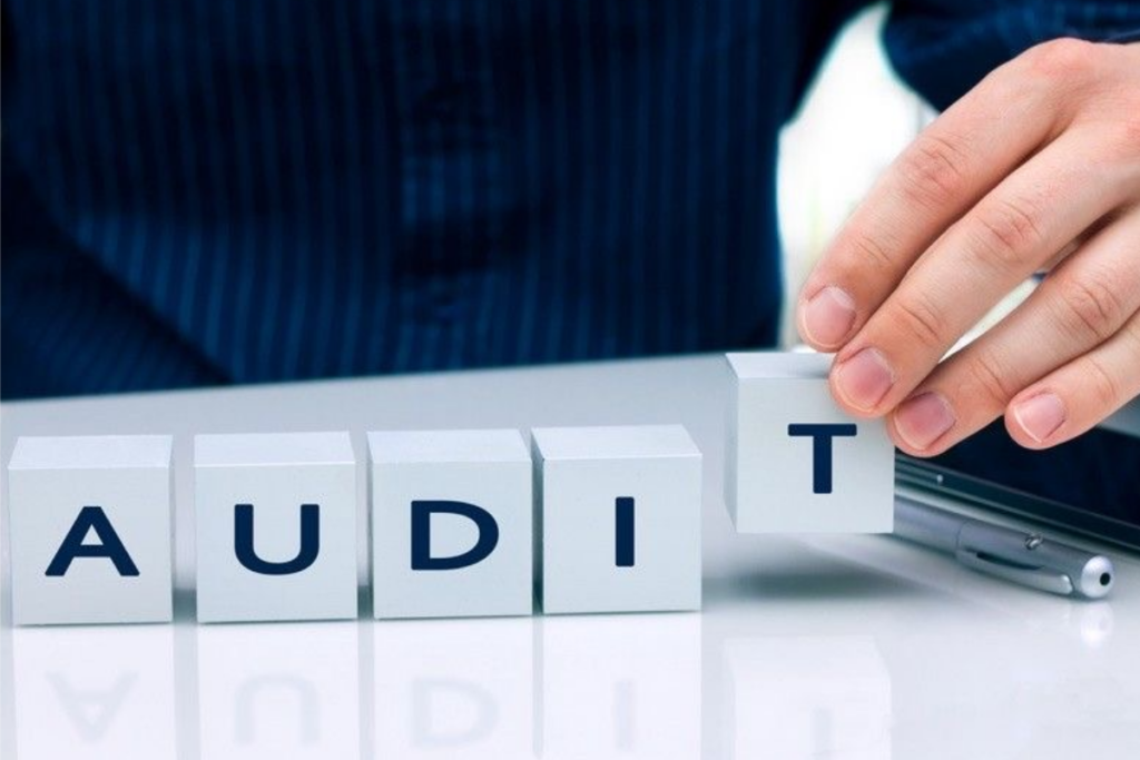 An image showing the word audit.