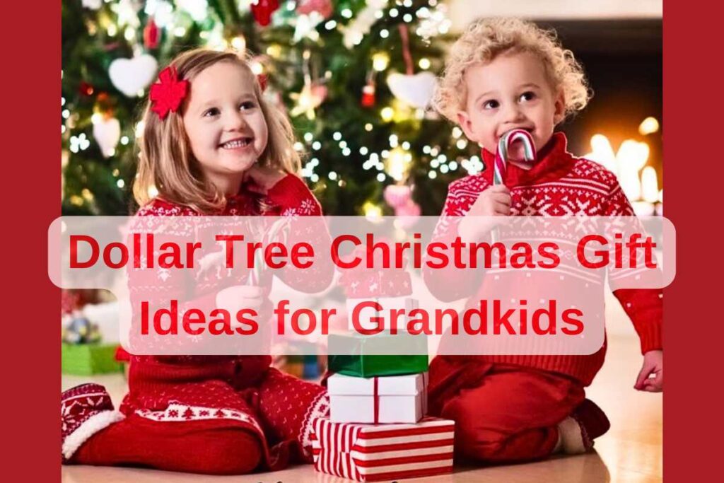 Dollar Tree Christmas Gift Ideas