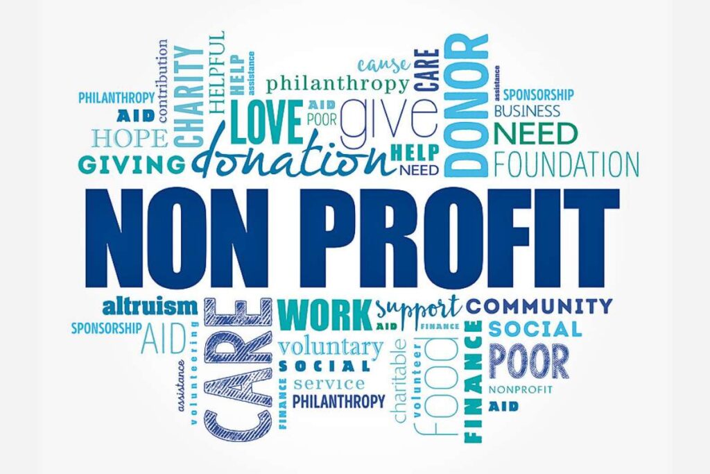 Concept of a Nonprofit Organization