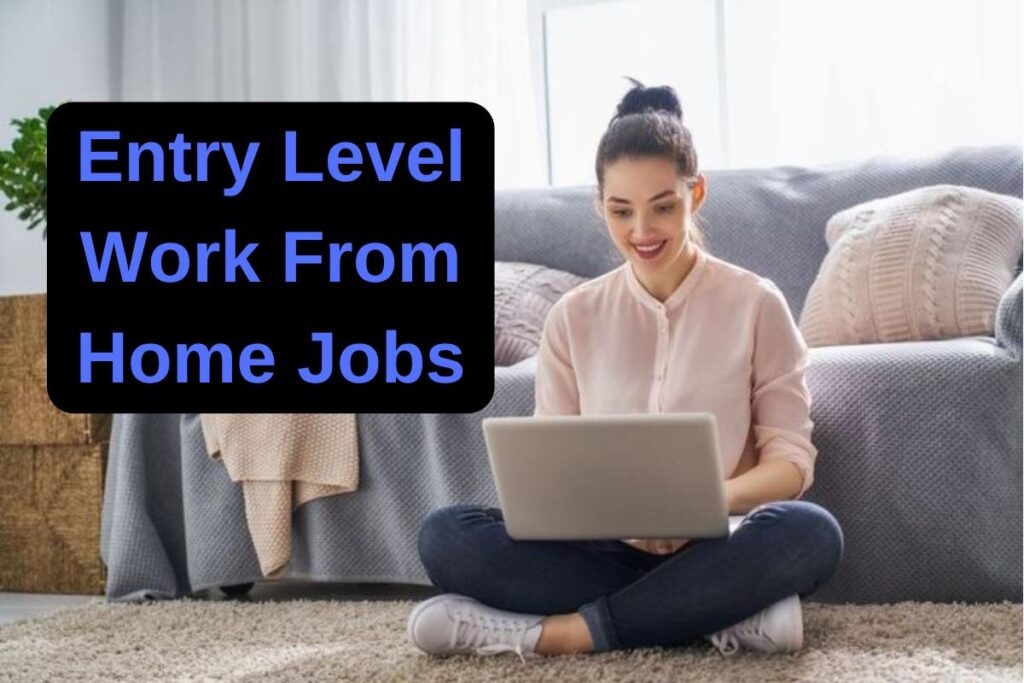 Entry Level Work From Home Jobs