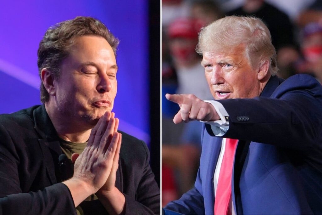 An image of Elon Musk and Donald Trump