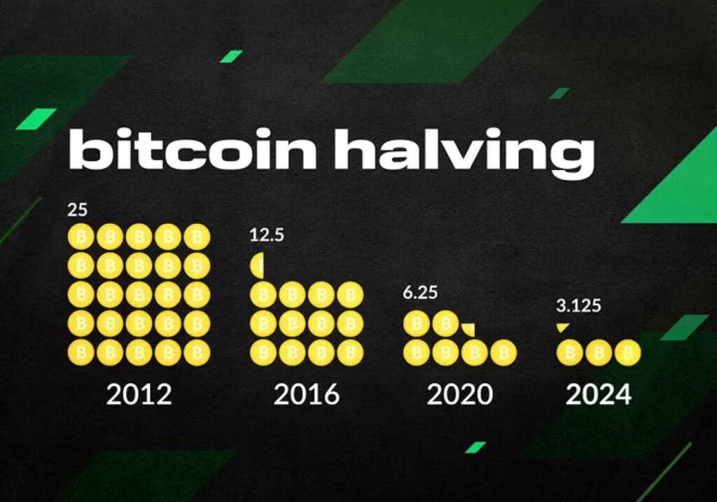 A graphical representation of Bitcoin halving. Bitcoin price 2025