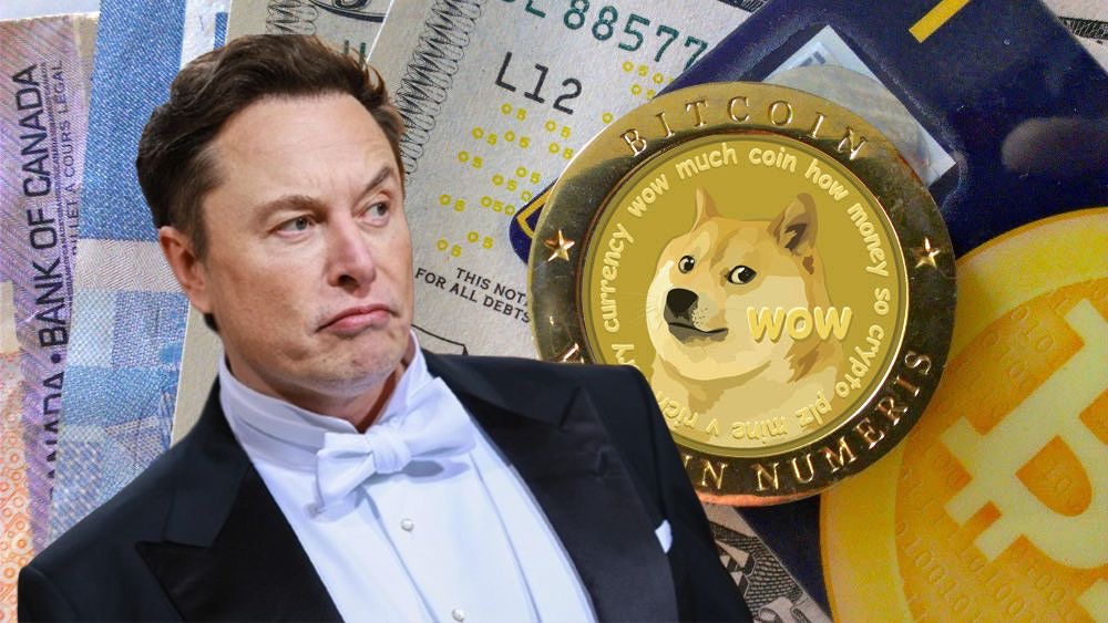 An image of Elon Musk and Dogecoin