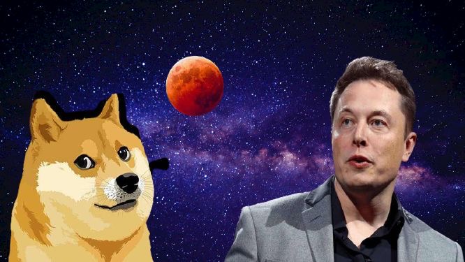 An image of Elon Musk and Dogecoin 