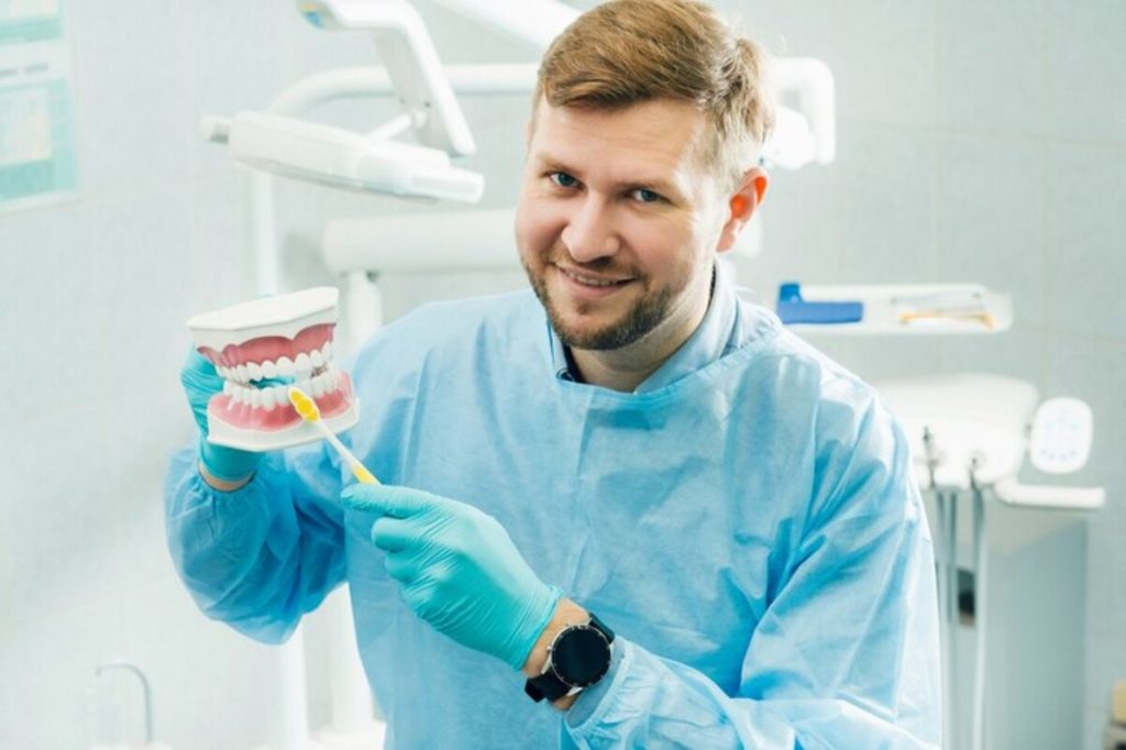 A model of a human jaw with teeth and a toothbrush in the dentist's hand