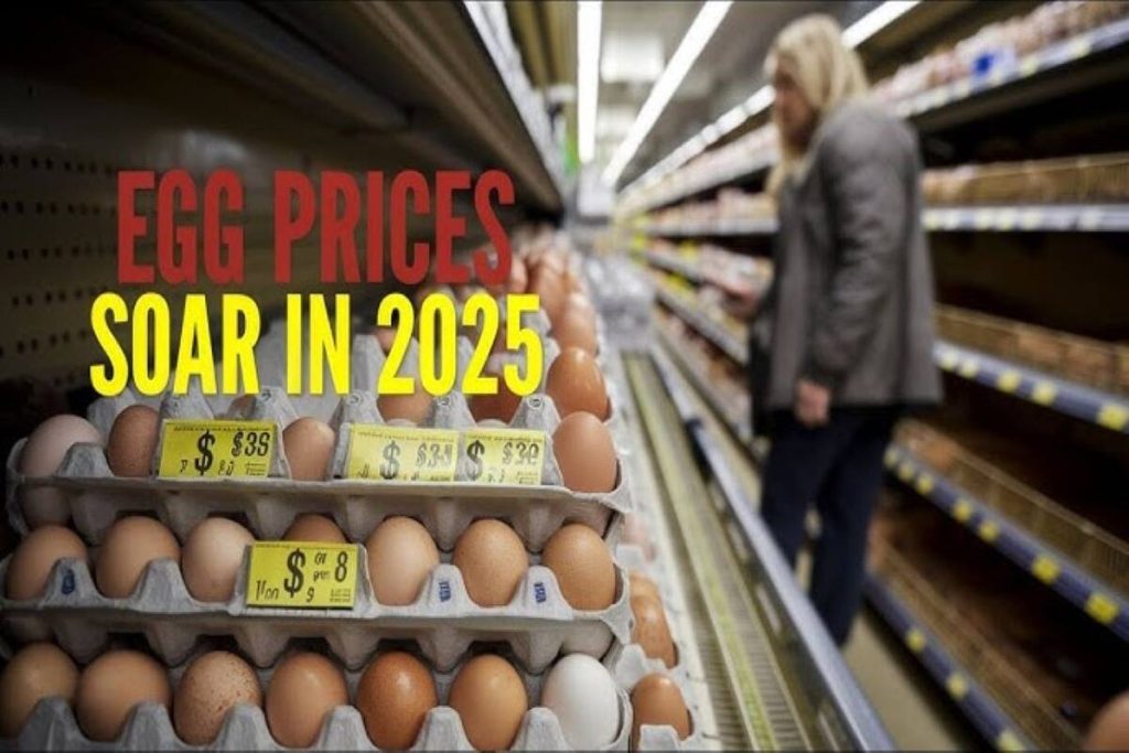 Why Eggs Are So Expensive This Year