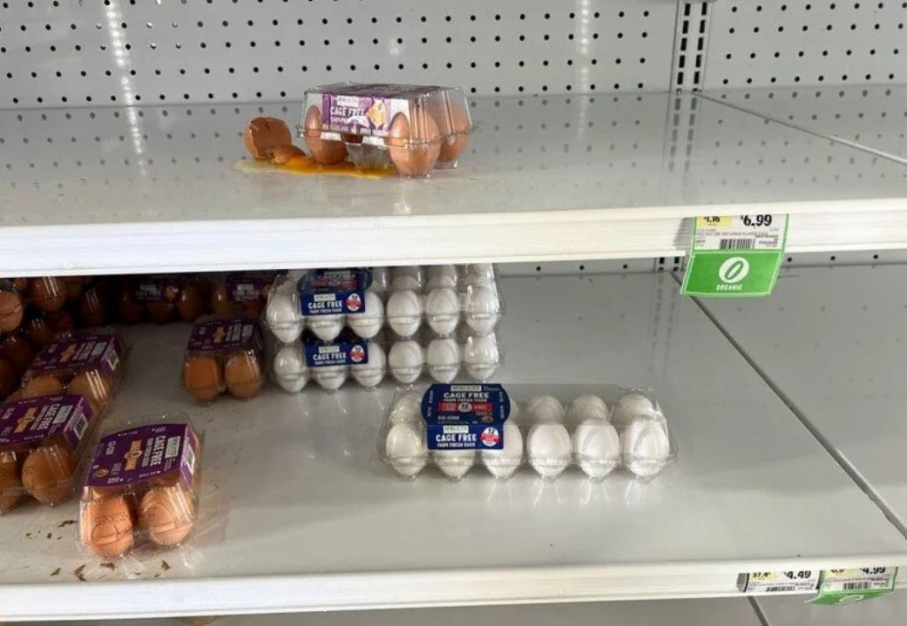 Sparsely populated shelf in the eggs section