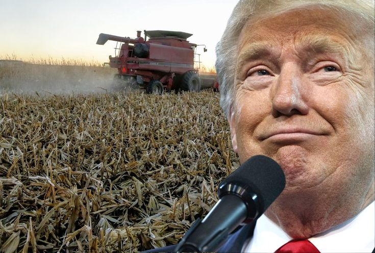 Farmers filing Bankruptcy