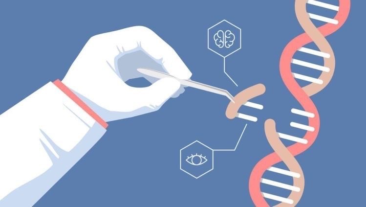 Gene editing Cocoa